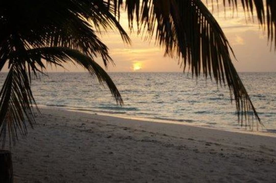 Tolle Sonnenuntergänge Filitheyo Island Resort