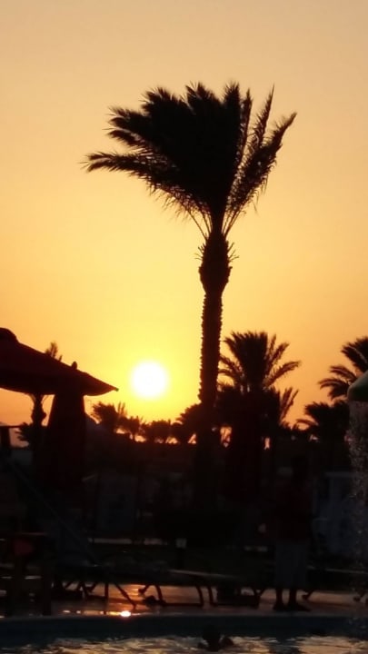 Hotel Dana Beach Resort Pickalbatros Dana Beach Resort - Hurghada