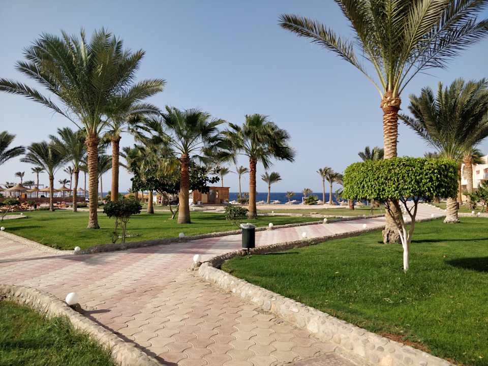 Gartenanlage Three Corners Sea Beach Resort