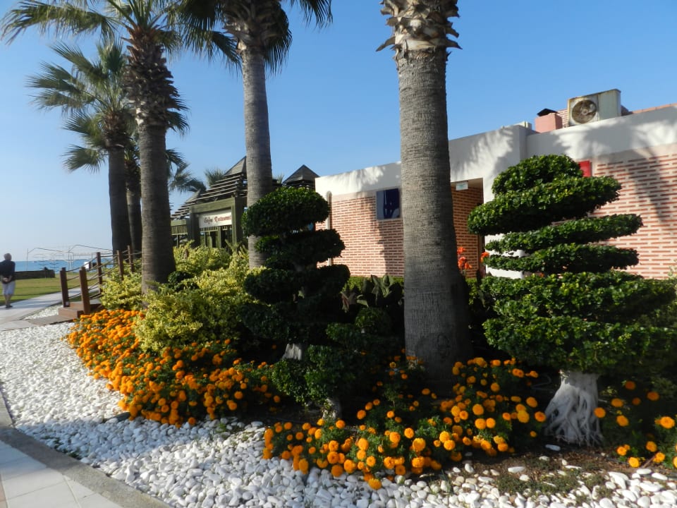 Gartenanlage Megasaray Club Belek