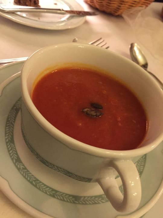 Zwischensuppe 4-Gänge-Menü Hotel Jagdschloss Letzlingen