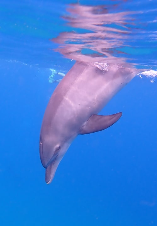 Sport & Freizeit Utopia Beach Club