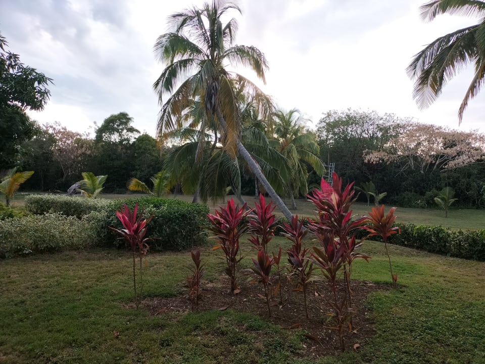 Gartenanlage Sol Rio De Luna y Mares