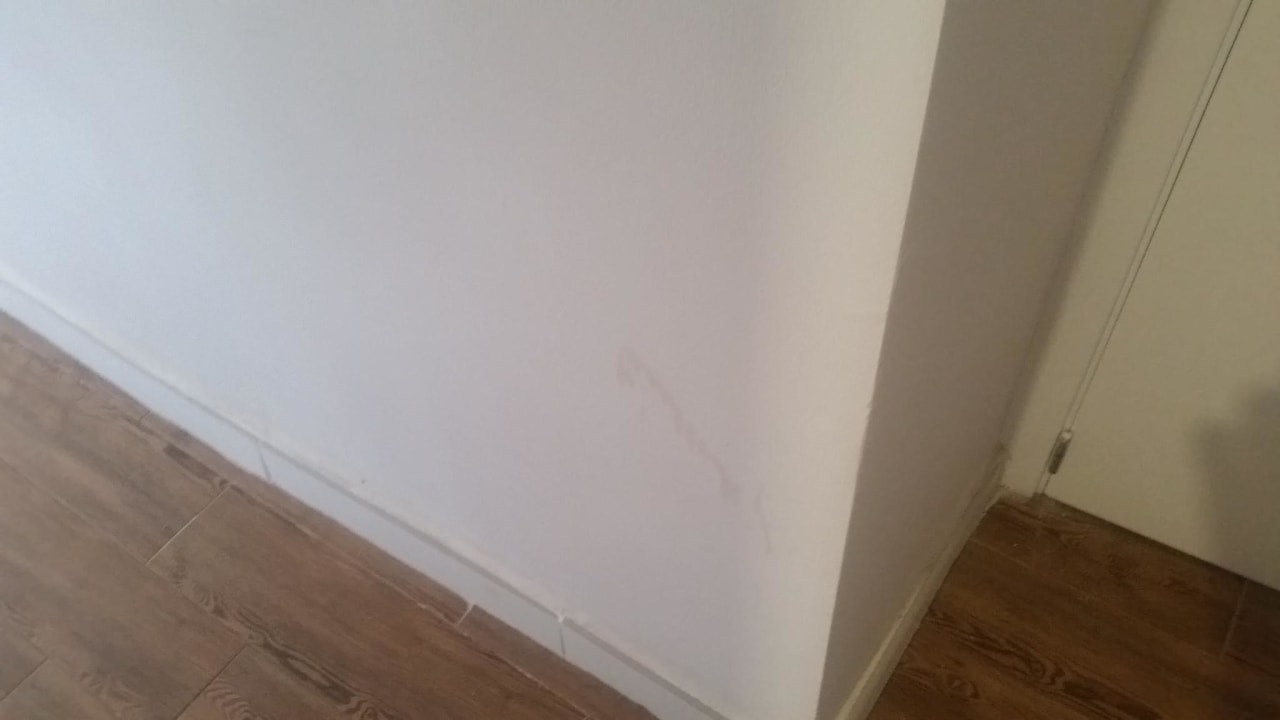 Wand BLUESEA Cala Millor