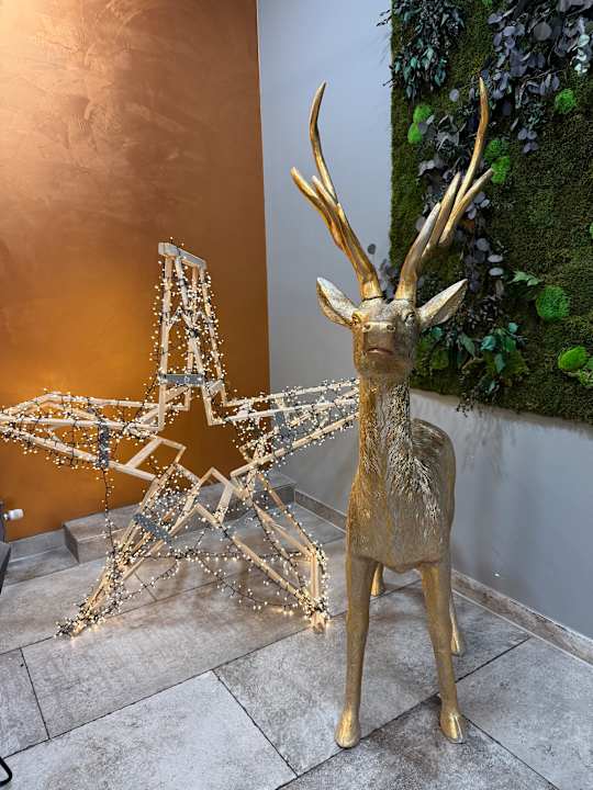 Sonstiges ibis Styles Bamberg