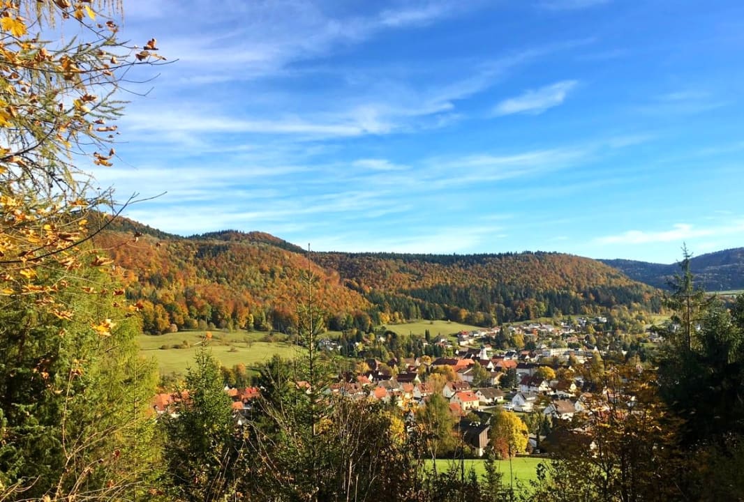 Ausblick Ferienwohnung Am Käselbach