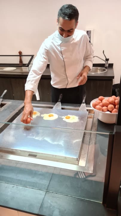 Zimmer Dreams Jardín Tropical