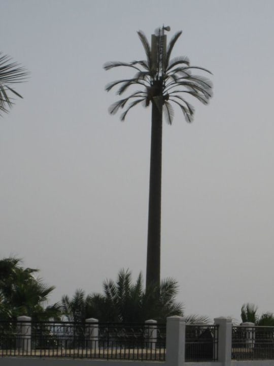 Palme als Funkmast getarnt! Safir Sharm Waterfalls Resort