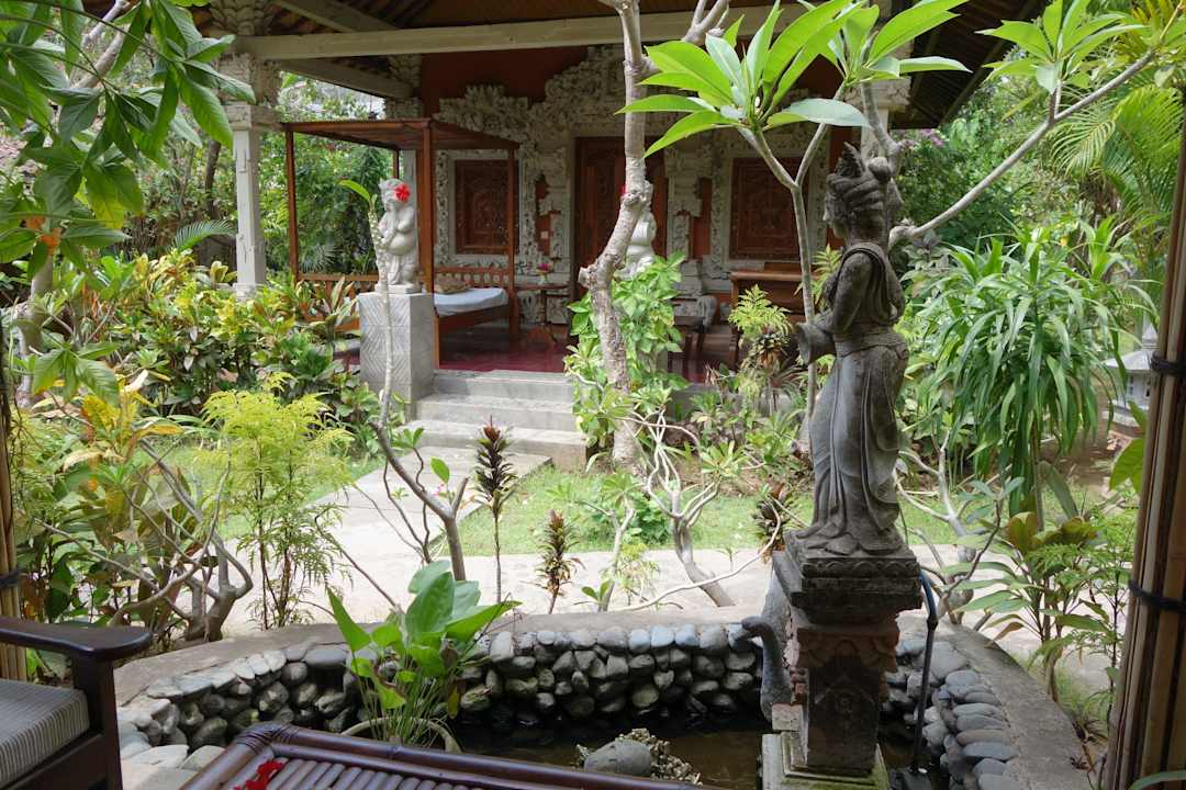 Kleiner Schildkrötenteich Rare Angon Homestay