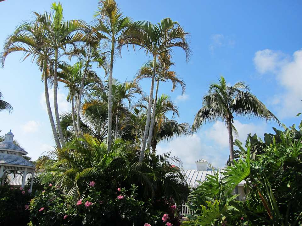 Gartenblick Hotel Lemon Tree Inn