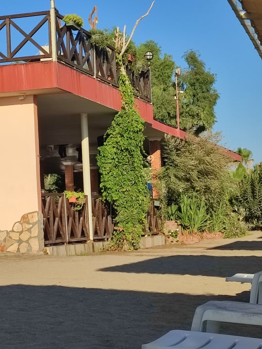 Sonstiges Club Turtas Beach Hotel