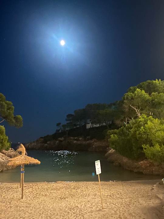 Strand AluaSoul Mallorca Resort