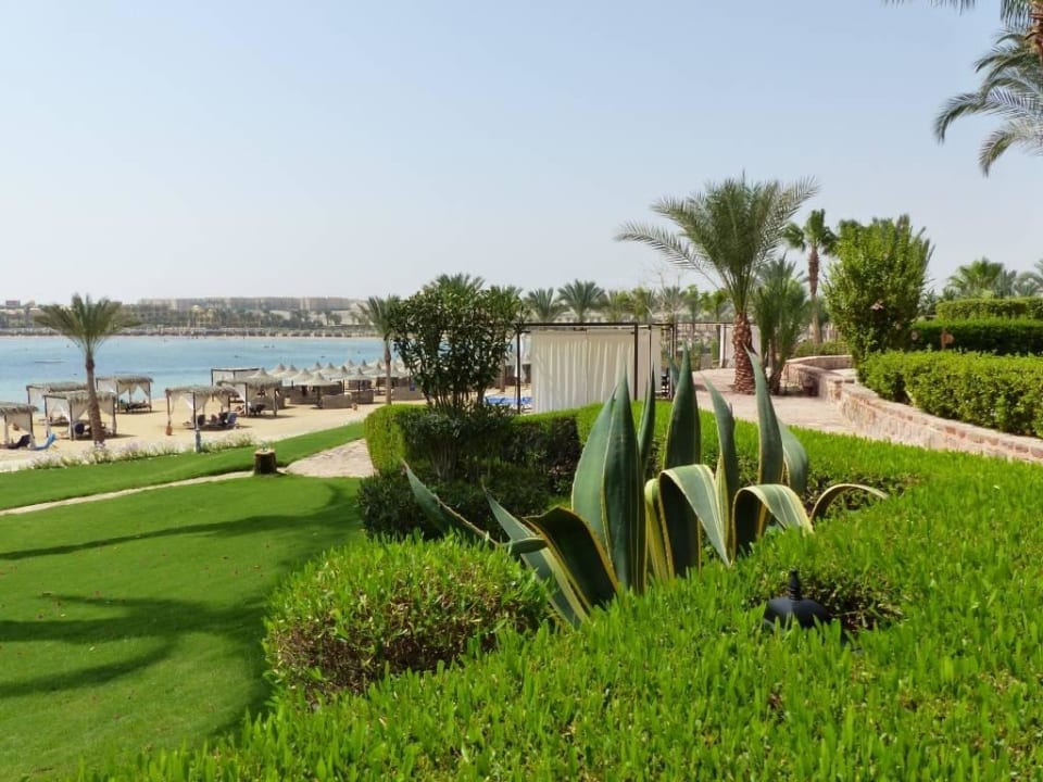 Gartenanlage Steigenberger Coraya Beach - Adults only