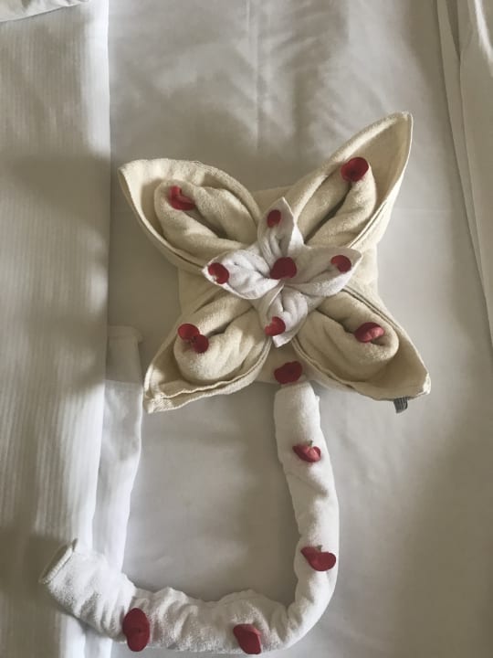 Zimmer Pickalbatros Palace Resort