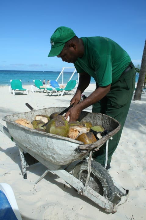 Kokusnuss Hotel Riu Bambu