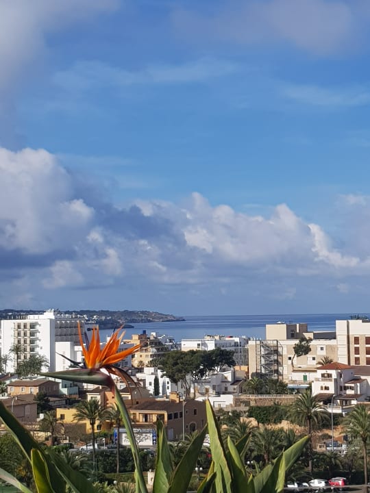 Ausblick Grupotel Playa de Palma Suites & Spa