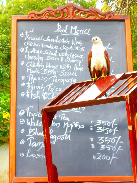 Sonstiges Hotel Marari Beach Resort