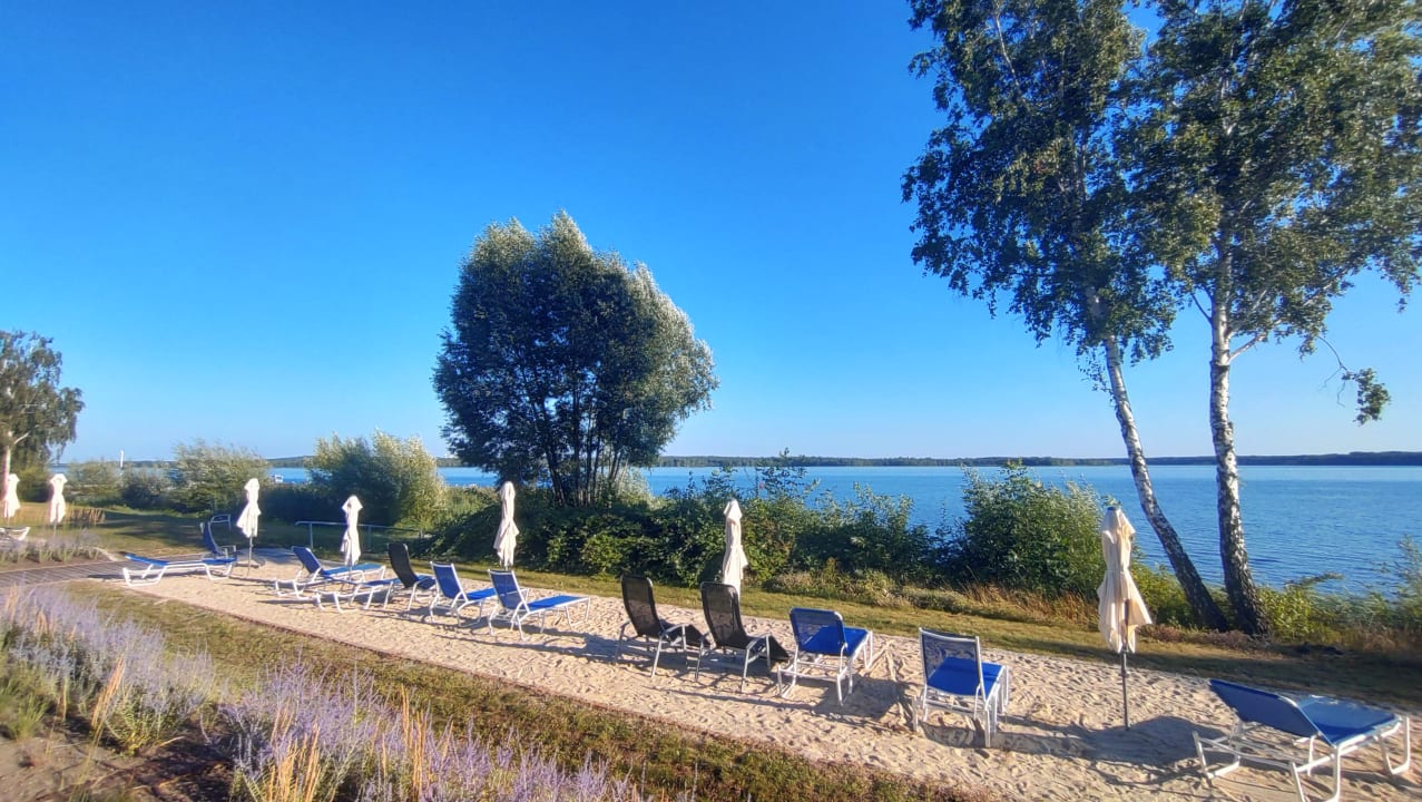 Ausblick Strandhotel Senftenberger See