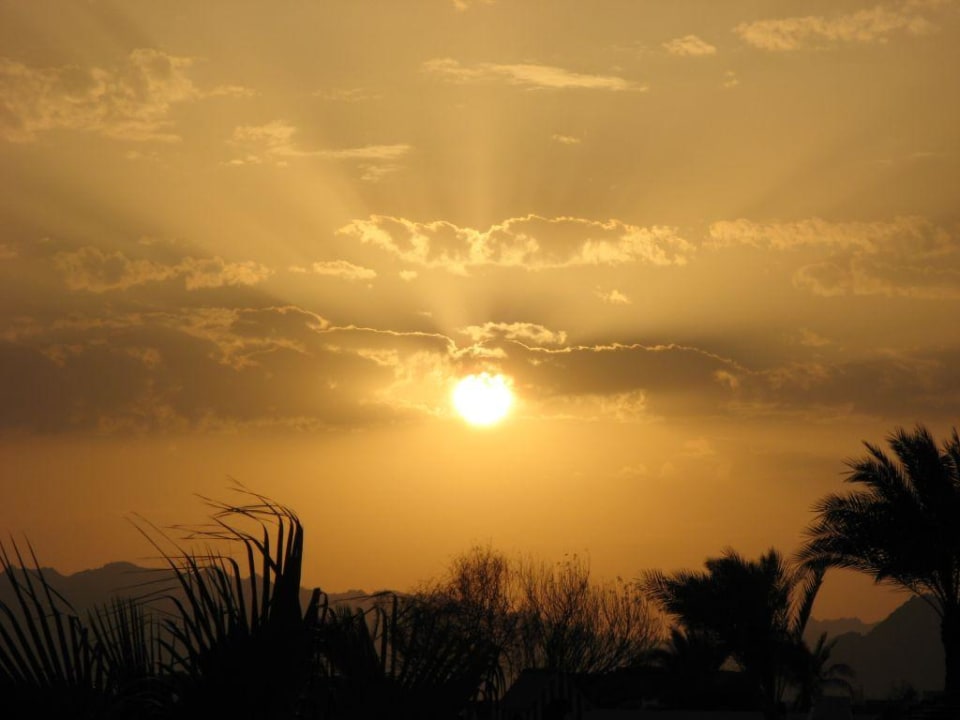 Sonnenuntergang am Strand Grand Oasis Resort