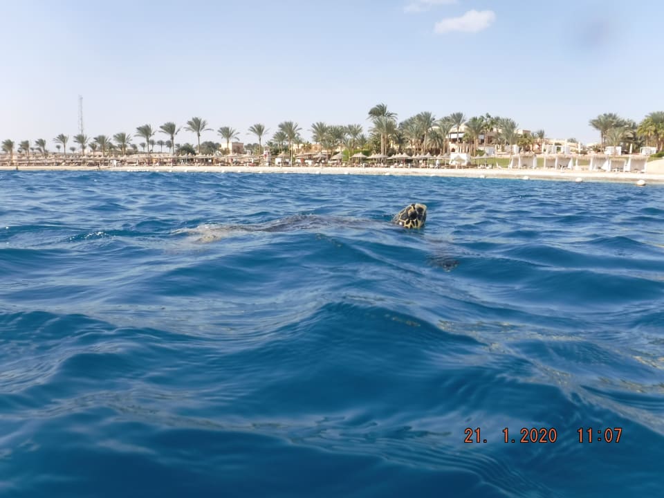 Strand Steigenberger Coraya Beach - Adults only