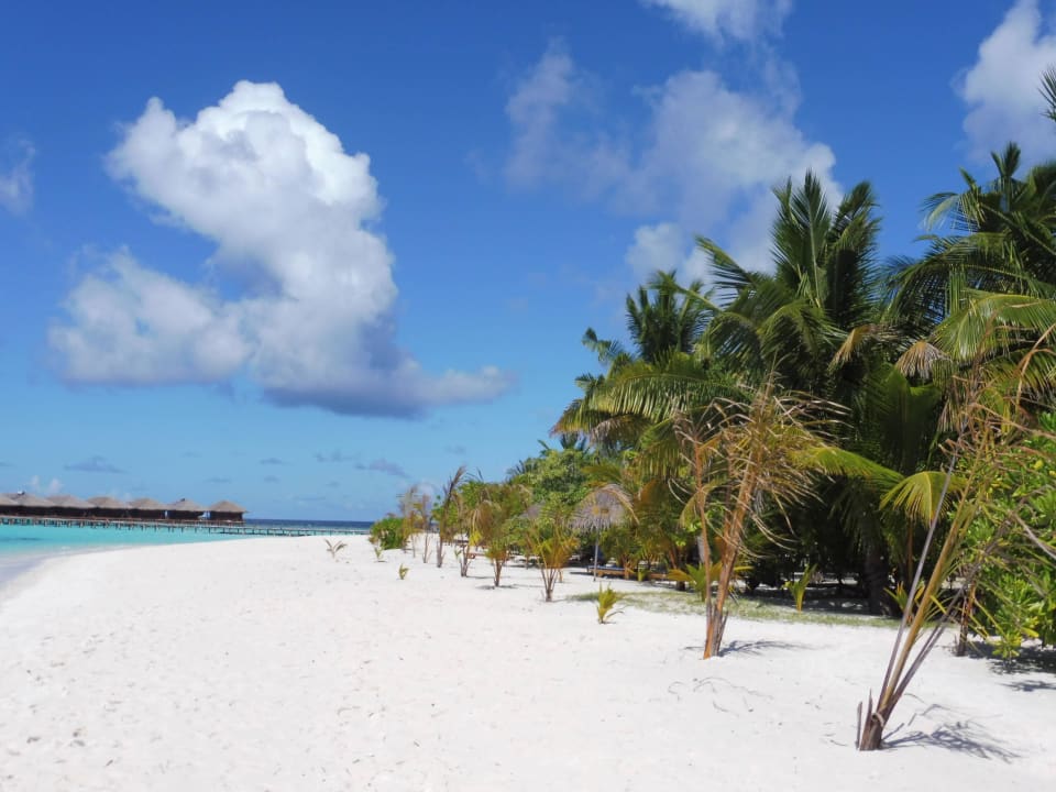 Deluxestrand Richtung Wasserbungi Filitheyo Island Resort