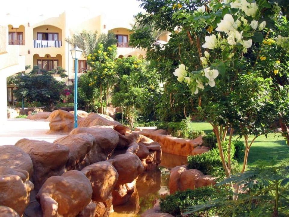 Ogród Sunny Days Palma De Mirette Resort & Spa