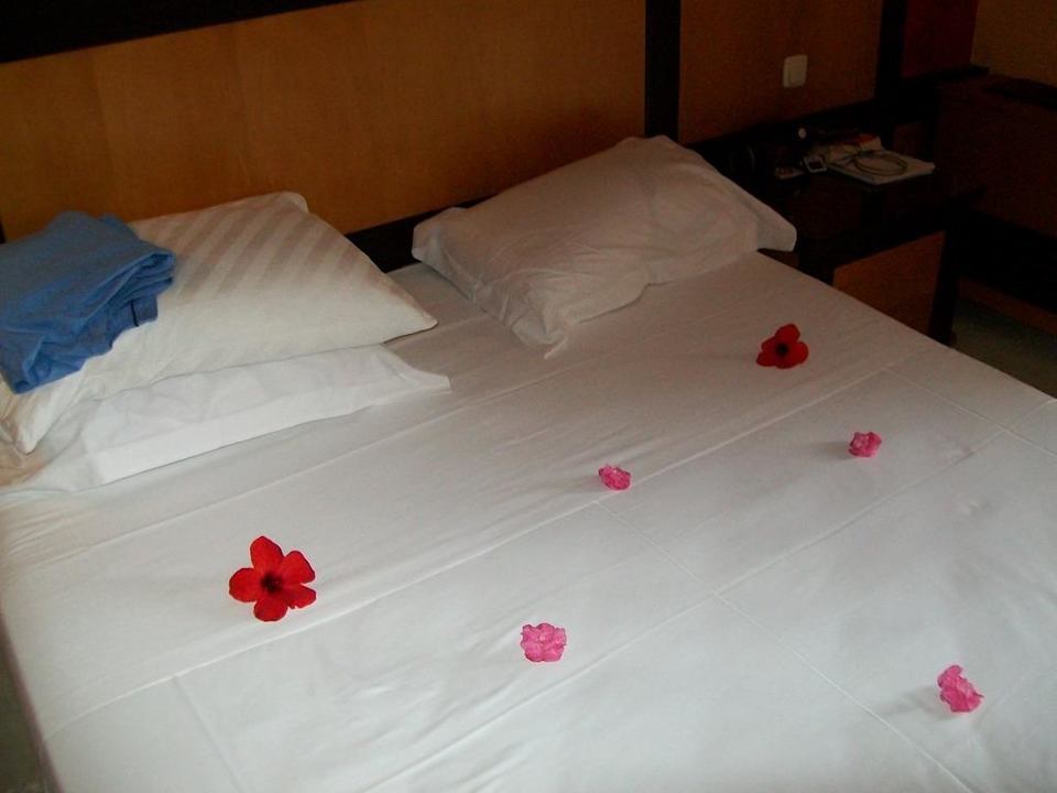 So sah unser Zimmer jeden Tag aus Royal Lido Resort & Spa