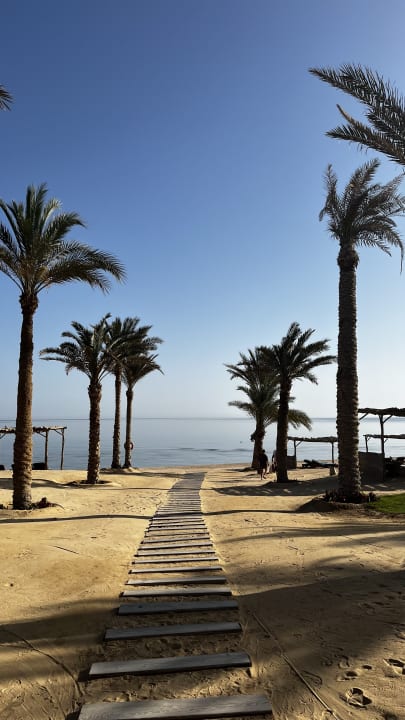 Strand Steigenberger Resort Alaya Marsa Alam - Red Sea - Adults only