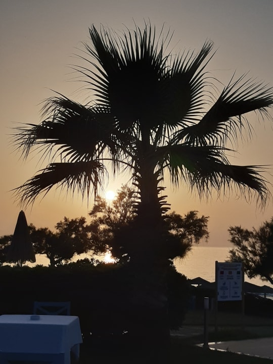 Ausblick Rethymno Palace
