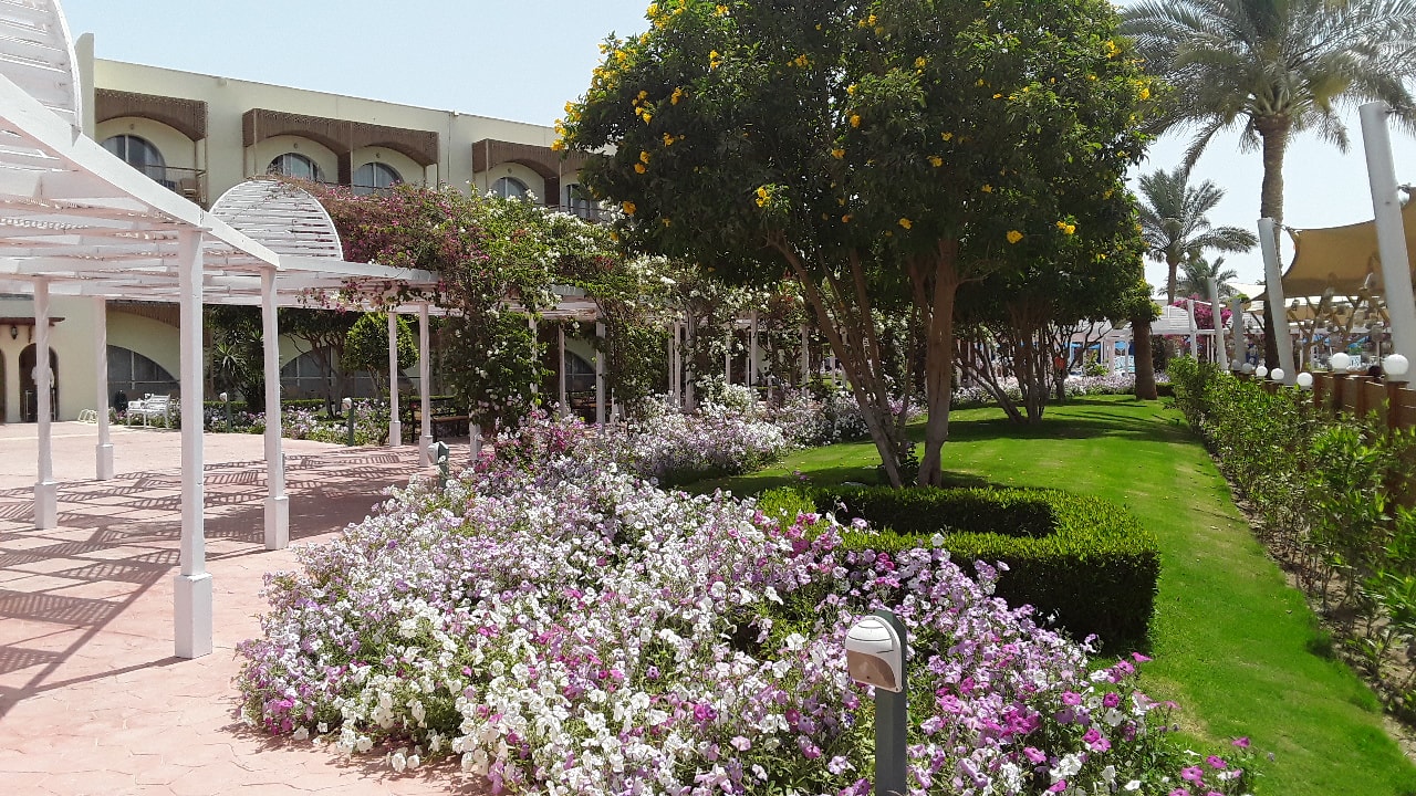 Gartenanlage Desert Rose