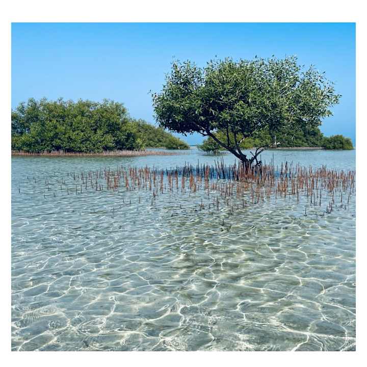 Sonstiges Lahami Bay Beach Resort