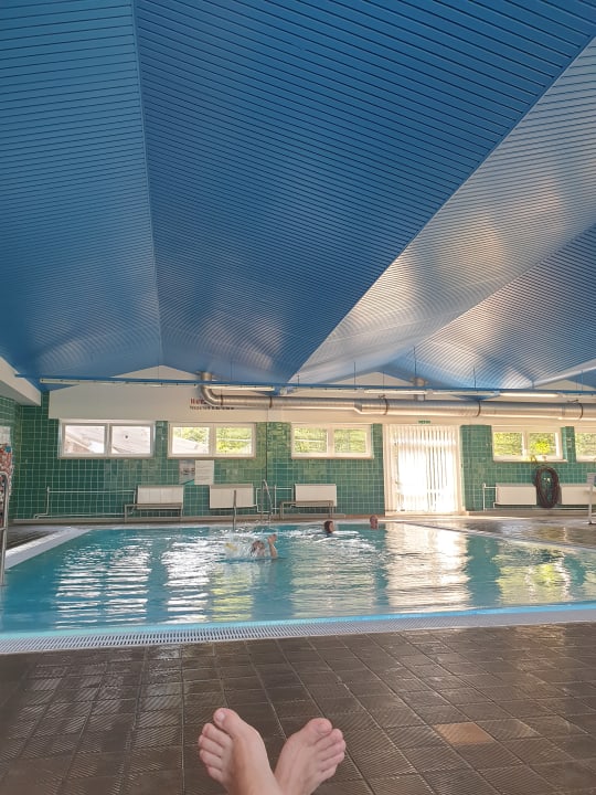 Pool AHORN Berghotel Friedrichroda