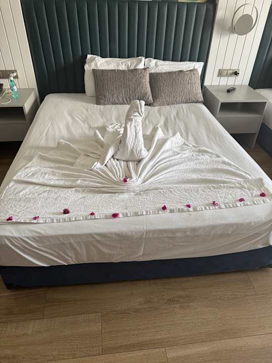 Zimmer Dream Fun World