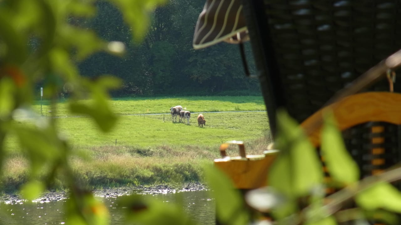 Pool Parkhotel Bad Schandau