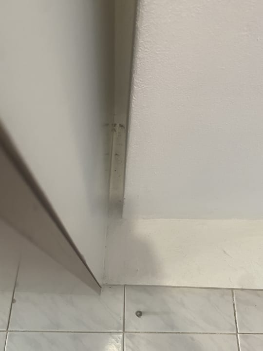 Zimmer Olympos Beach Hotel