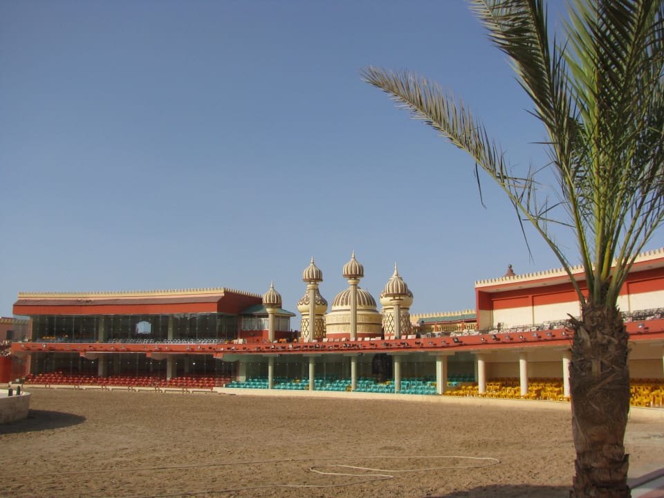 Öffentliche Show Arena Pickalbatros Alf Leila Wa Leila Resort - Neverland Hurghada