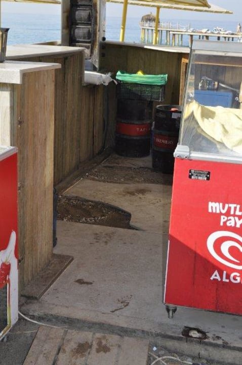 Boden in der Beachbar Selectum Family Comfort Side