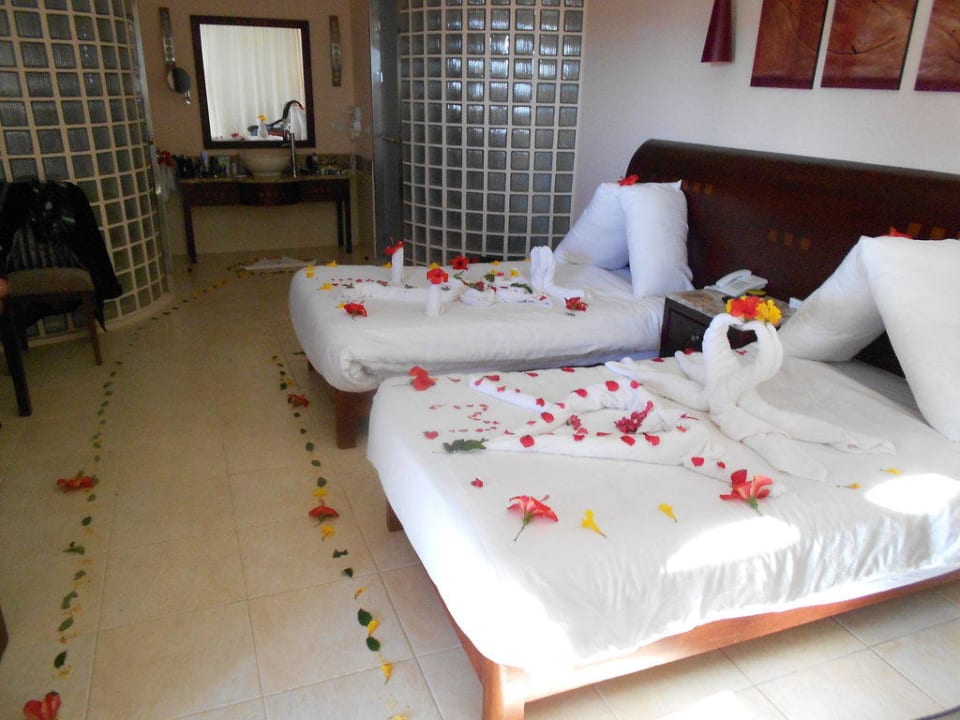 Zimmerdeko Shams Prestige Abu Soma-Adults Only