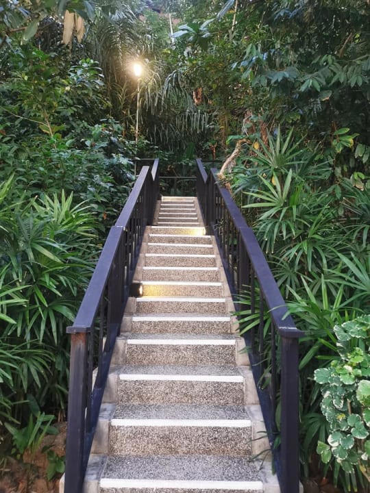 Gartenanlage Moracea by Khao Lak Resort