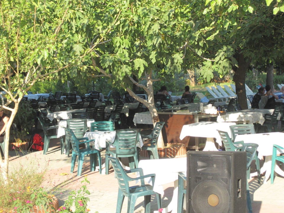 Strandbar Hotel Gardenia Beach