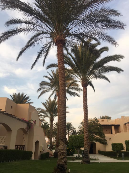 Außenansicht Hotel JAZ Makadi Star & Spa