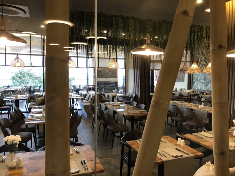 Gastro GRIFID Vistamar