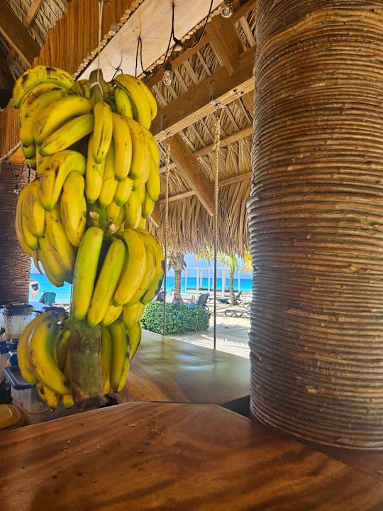 Gastro Hotel Viva Dominicus Beach by Wyndham - All Inclusive Resort