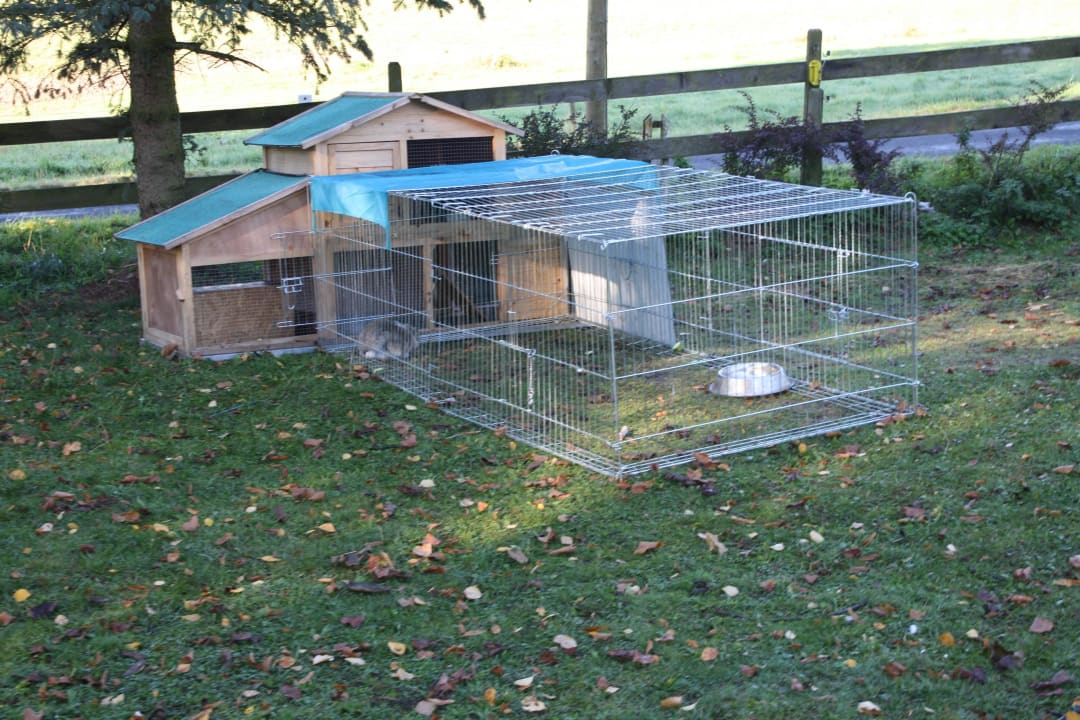 Hasenstall Burgbauernhof Katzenstein