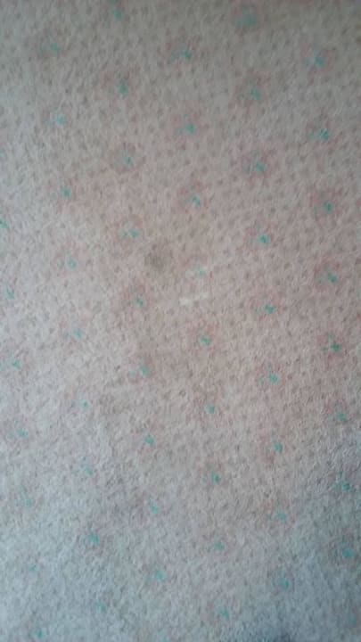 Flecken im Teppich Berghotel Hoher Knochen