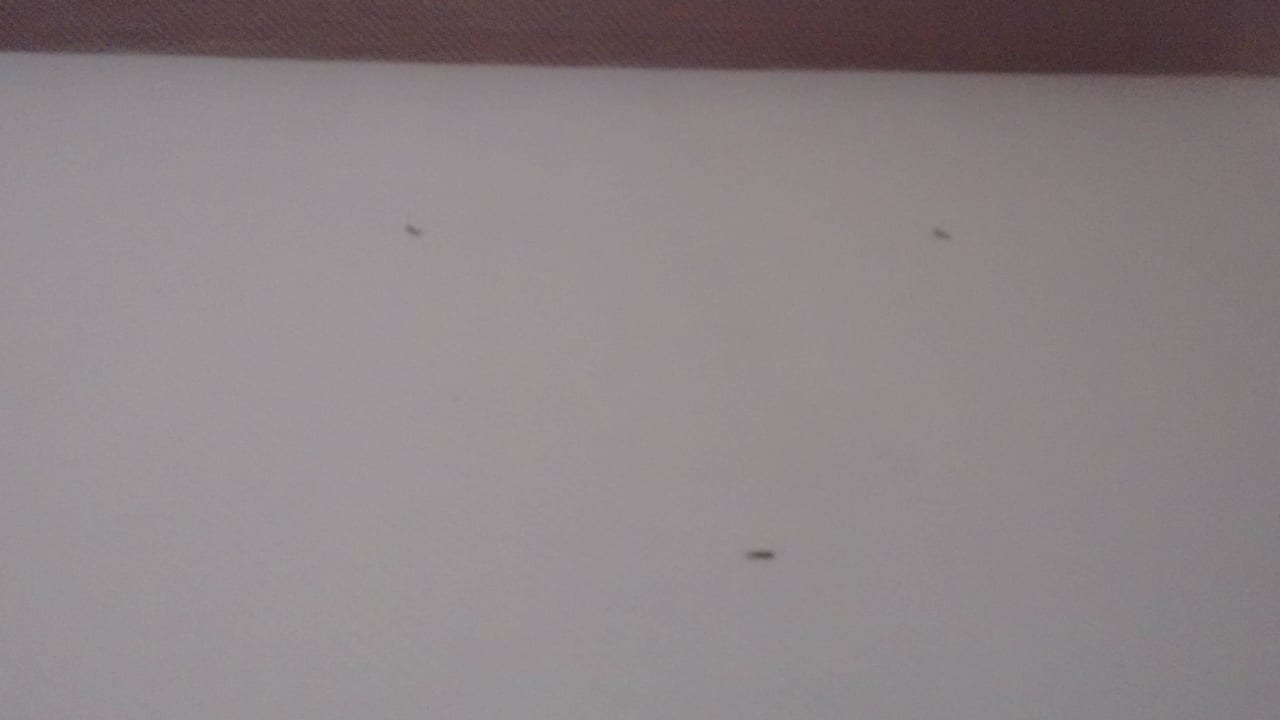 3 von 10 übermalten Schrauben in der Zimmerwand Abant Hotel Frankfurt Obertshausen