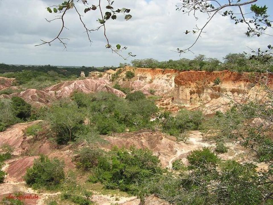 Hell's Kitchen 19 Hotel Traveller's Club