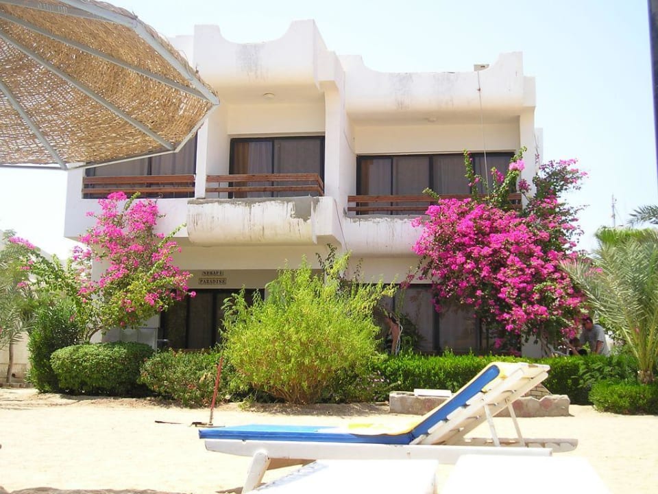 Bugalow Marlin Inn Azur Resort