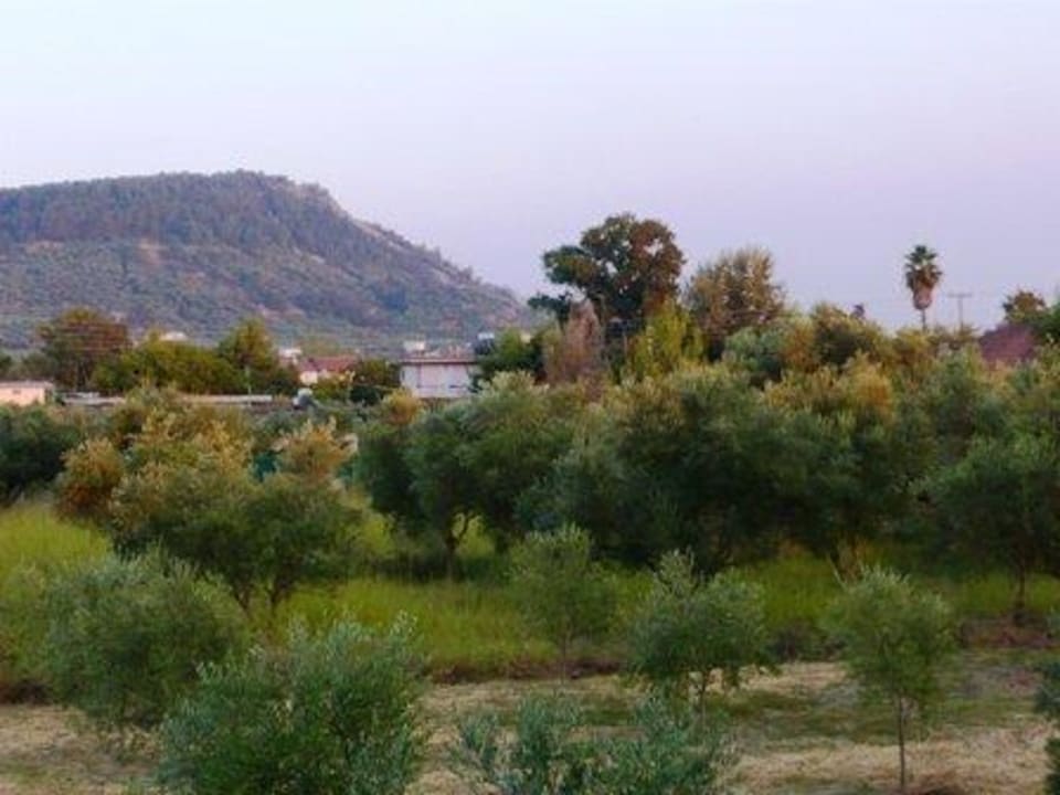 Widok od strony korytarza prowadzacego do pokoi Filoxenia Hotel Zakynthos