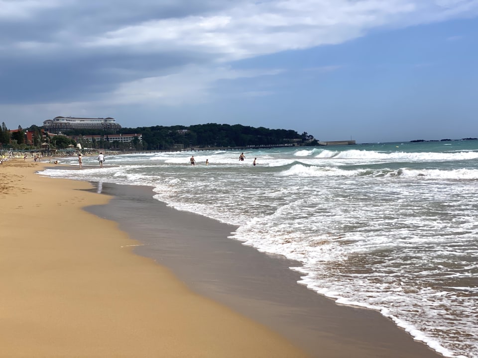 Strand AQI Pegasos Royal